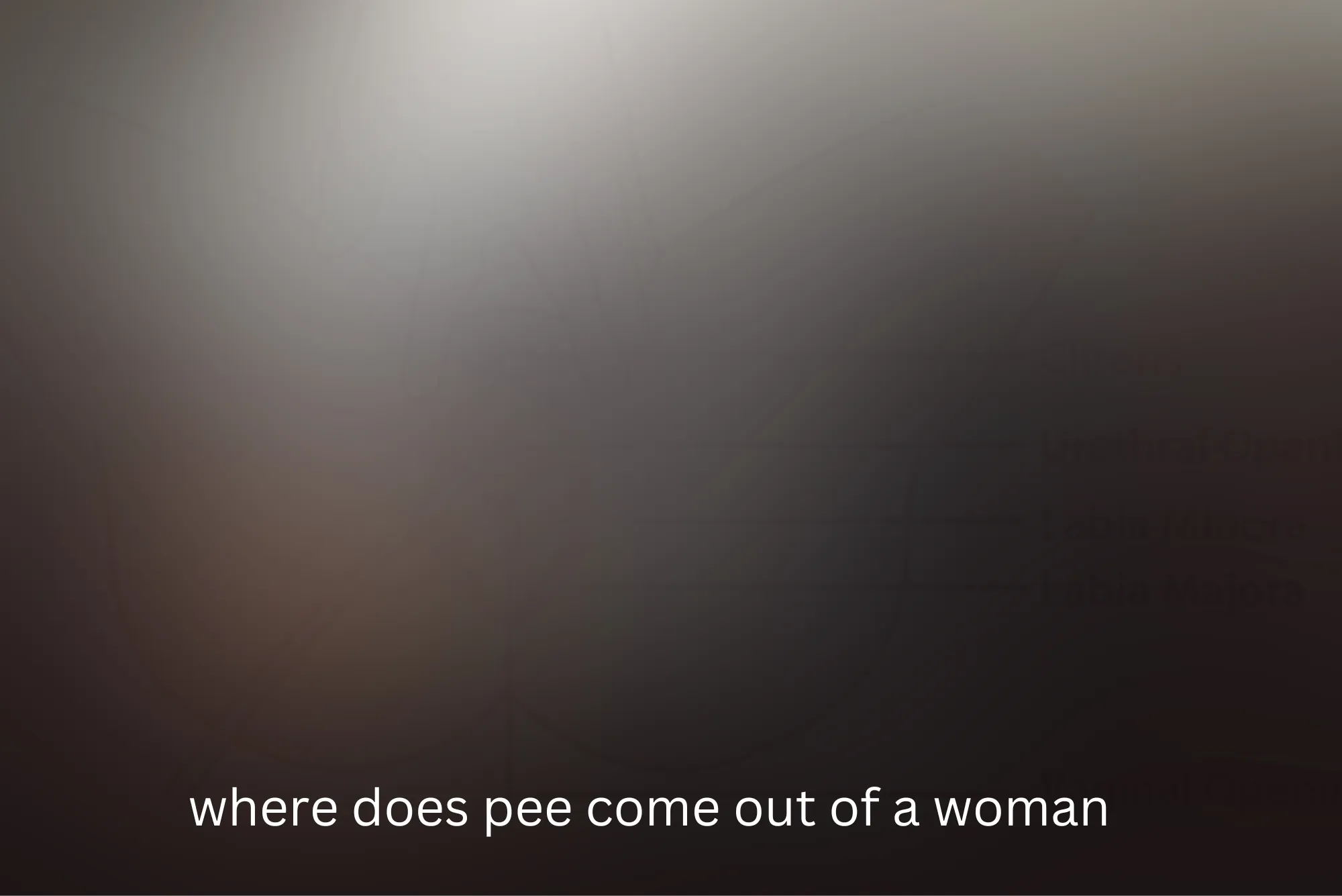 Everything You Need to Know: Where Does Pee Come Out of a Woman?